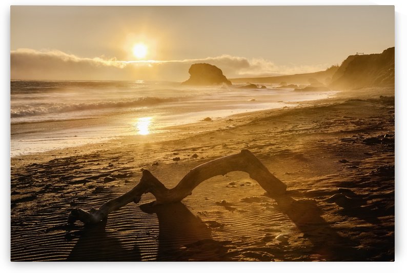 Seashore at sunset, San Simeon State Park; California, United States of America by PacificStock