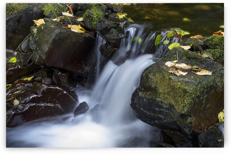 Fishhawk Creek cascades over the rocks near Lee Wooden County Park near Jewell, Oregon; Oregon, United States of America by PacificStock