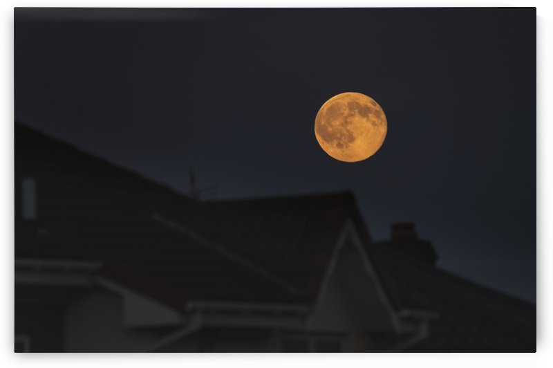 Full harvest moon glowing in the night sky over houses; South Shields, Tyne and Wear, England by PacificStock