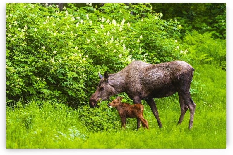 103725 by PacificStock