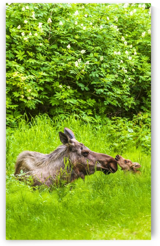 103726 by PacificStock