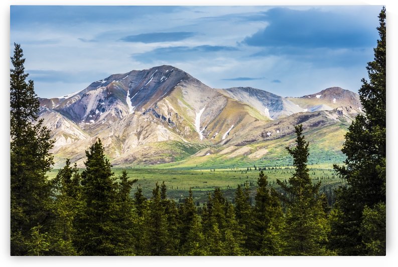 A scenic view of the Alaska Range in Denali National Park near the Savage River on a summer day in South-central Alaska; Alaska, United States of America by PacificStock