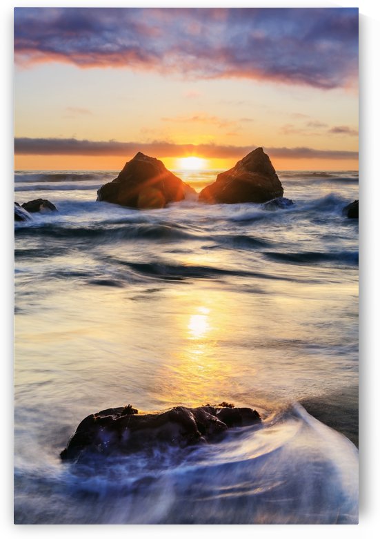 False Klamath Cove Beach, Redwood National and State Parks; California, United States of America by PacificStock