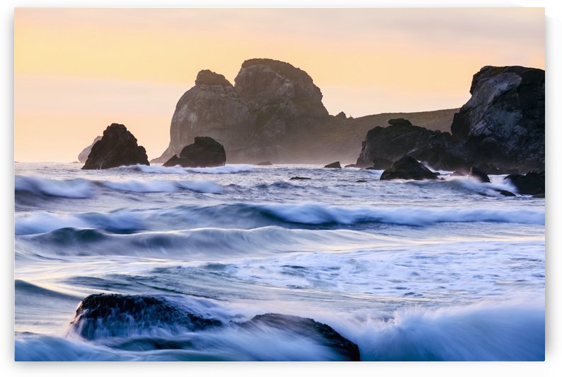 False Klamath Cove Beach, Redwood National and State Parks; California, United States of America by PacificStock