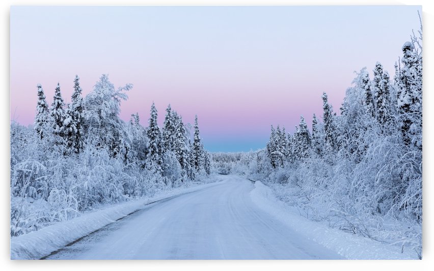Belt of Venus and hoarfrost at sunrise along a back road in South-central Alaska in winter; Alaska, United States of America by PacificStock