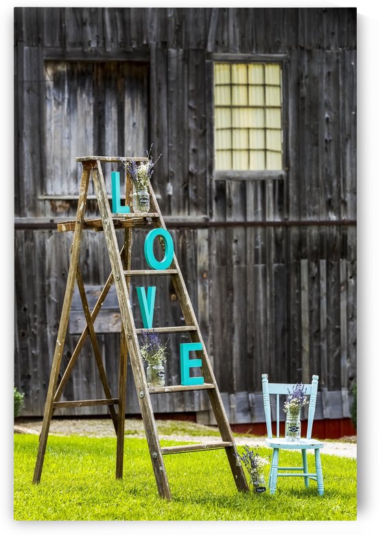 Wooden ladder on grassy lawn with 