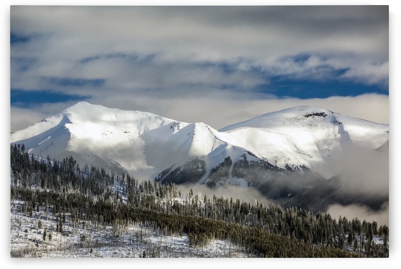 Snow covered mountain with frosted evergreen trees on hillside with clouds in the valley and blue sky; Radium Hot Springs, British Columbia, Canada by PacificStock
