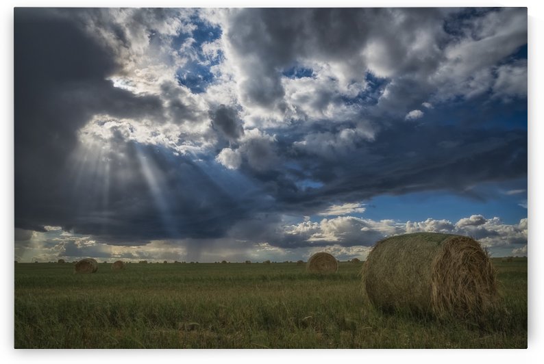 Sunlight breaks through the storm clouds over a field of hay bales; Saskatchewan, Canada by PacificStock