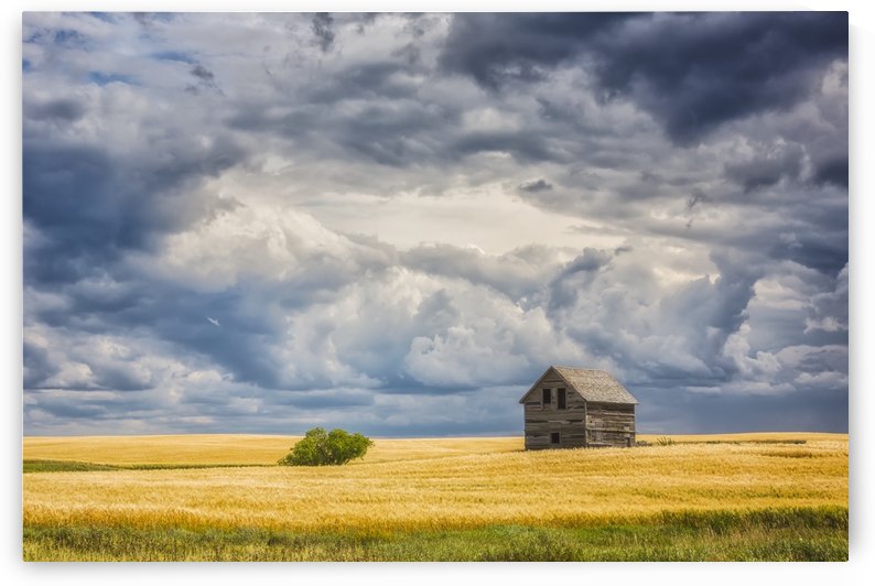 Abandoned building along the roads of rural Saskatchewan; Saskatchewan, Canada by PacificStock