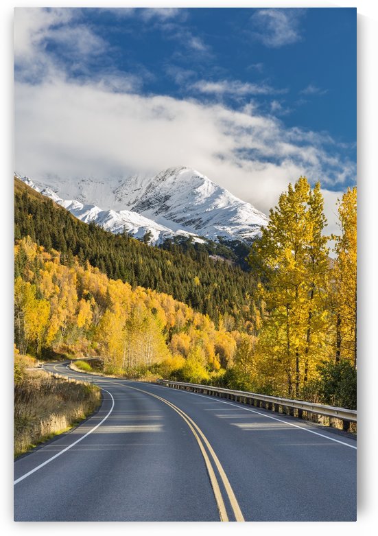 Snow-capped Kenai Mountains dwarf the Seward highway, trees covered in yellow leaves in autumn line the road, South-central Alaska; Seward, Alaska, United States of America by PacificStock