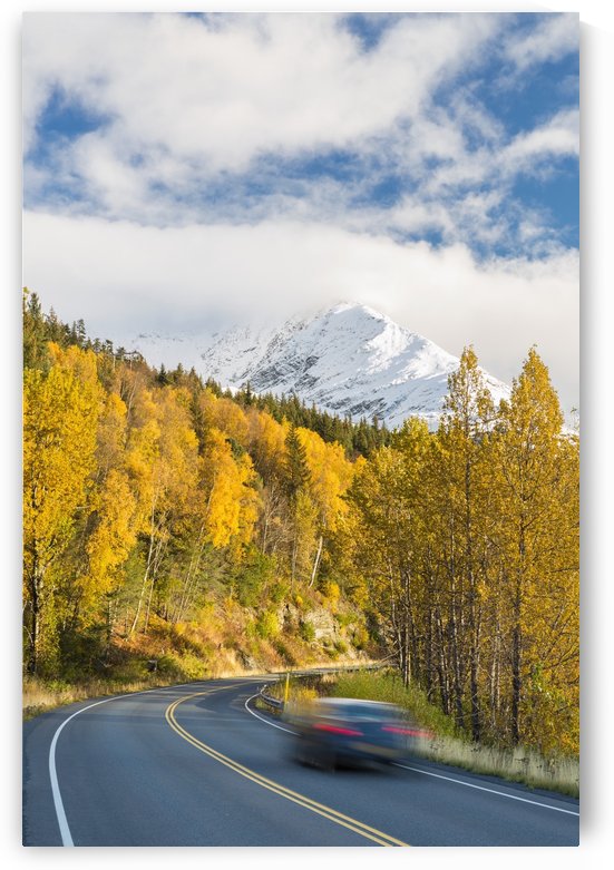 Snow-capped Kenai Mountains dwarf the Seward highway, trees covered in yellow leaves in autumn line the road, South-central Alaska; Seward, Alaska, United States of America by PacificStock