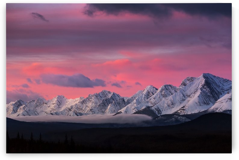 Dramatically glowing sky at sunrise with snow covered mountain range and fog in the valley; Kananaskis Country, Alberta, Canada by PacificStock