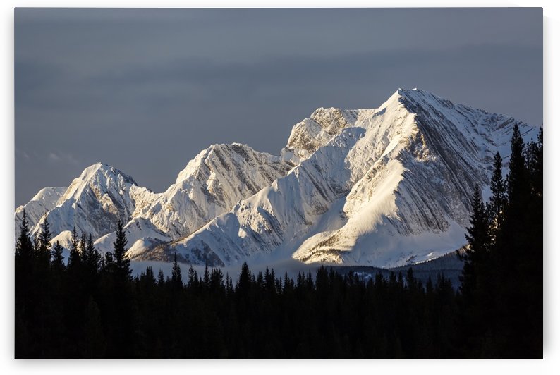 Snow covered mountains with early morning light, silhouetted forest in the foreground, blue sky and clouds; Kananaskis Country, Alberta, Canada by PacificStock