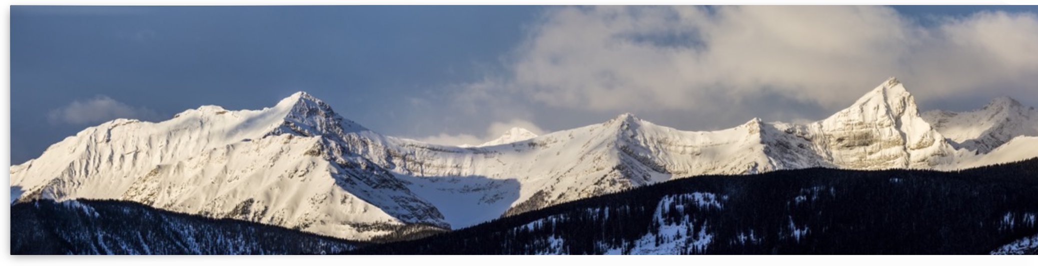 Panorama of snow covered mountains with early morning light, silhouetted forest in the foreground, blue sky and clouds; Kananaskis Country, Alberta, Canada by PacificStock