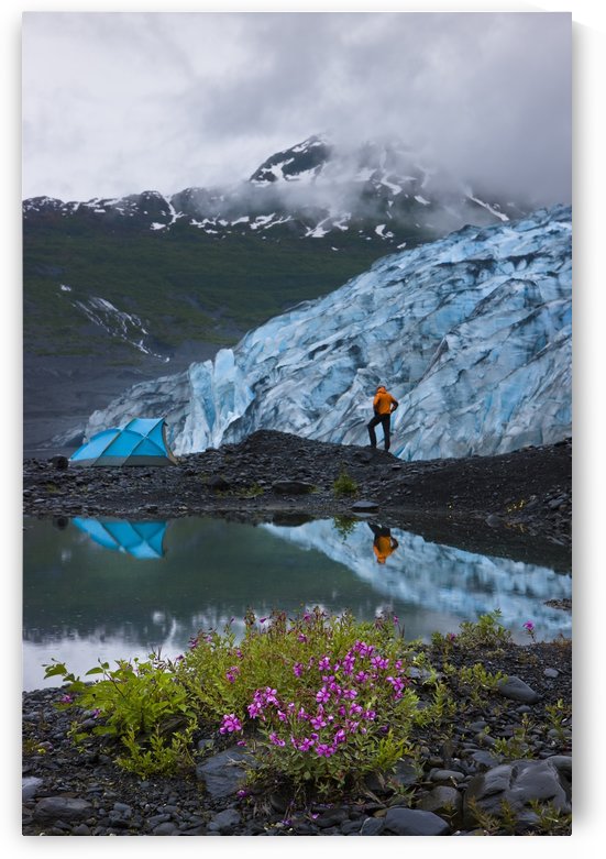 Male Hiker Views Shoup Glacier Standing Next To His Lit Tent, Shoup Bay State Marine Park, Prince William Sound, Southcentral Alaska by PacificStock