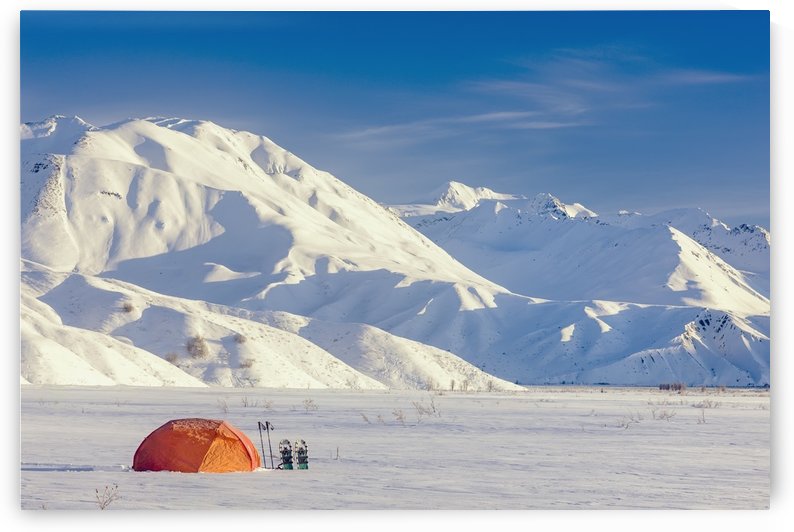 A Backpacking Tent With Snowshoes Next To It With The Alaska Range In The Distance In Winter Isabel Pass Richardson Highway Interior Alaska; Anchorage Alaska United States Of America by PacificStock
