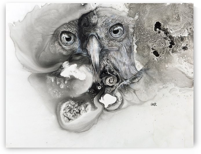 Illustration of a bird's face surrounded by mottled textures and abstract by PacificStock