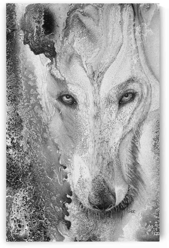 Illustration of a wolf and a mottled background by PacificStock
