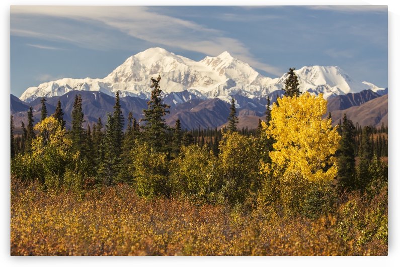 Denali, viewed from south of Cantwell, from the Parks Highway in Interior Alaska; Alaska, United States of America by PacificStock