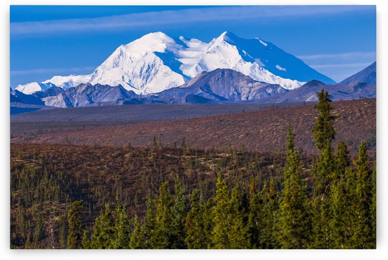 View of Denali from the portion of the park road open to the public in Denali National Park; Alaska, United States of America by PacificStock