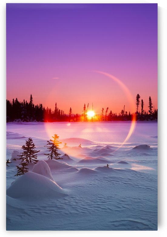 Sun flare glowing over a winter landscape; Trapper Creek, Alaska, United States of America by PacificStock