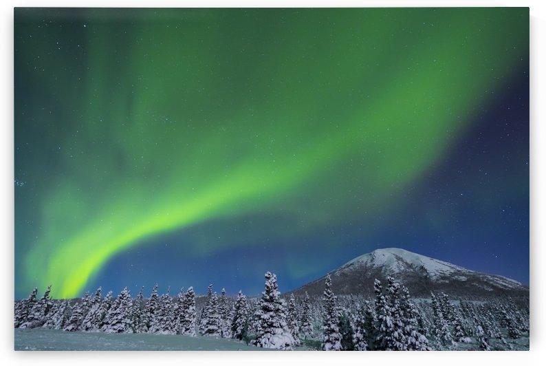 The aurora glows in the sky above Donnelly Dome and a snowy, moonlit landscape, south of Delta Junction; Alaska, United States of America by PacificStock