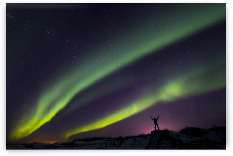 Colourful Aurora borealis over a man with arms outstretched silhouetted against light pollution from nearby Fort Greely; Alaska, United States of America by PacificStock