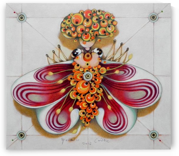 Bridesmaid moth by federicocortese