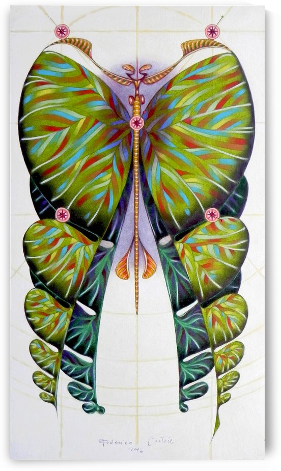 Fibonacci butterfly by federicocortese