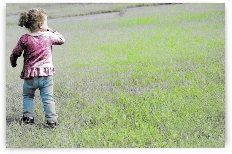 De quel côté aller by Guy Charest