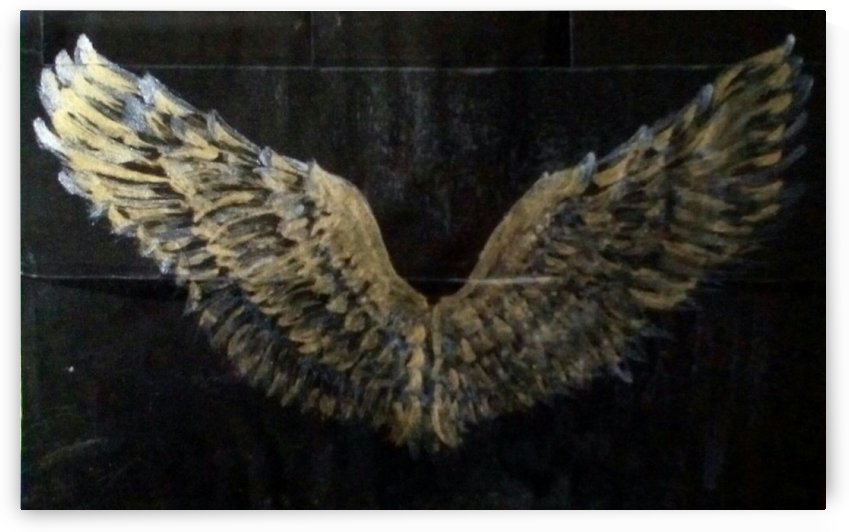 wing of hope by Raja Hussain