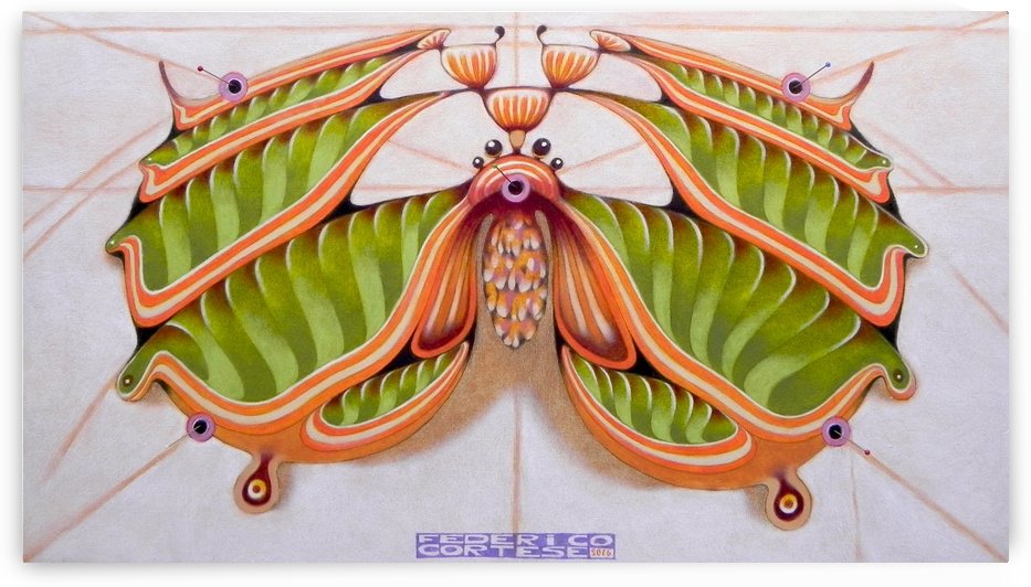 Fibonacci moth by federicocortese