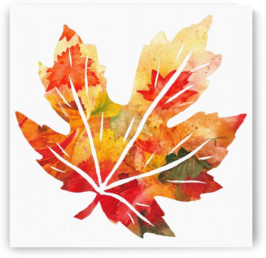 Autumn Maple Leaf by Irina Sztukowski