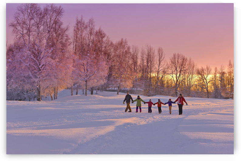 Family Group, Holding Hands, Walk On A Snow Path At Sunset With A Birch Forest In The Background, Russian Jack Springs Park, Anchorage, Southcentral Alaska, Winter by PacificStock