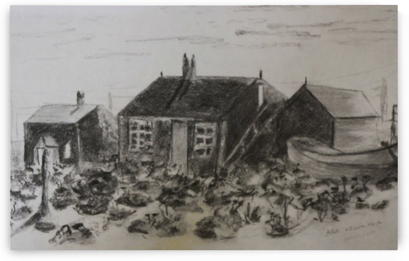 Romney Marsh  by Adrian Butt