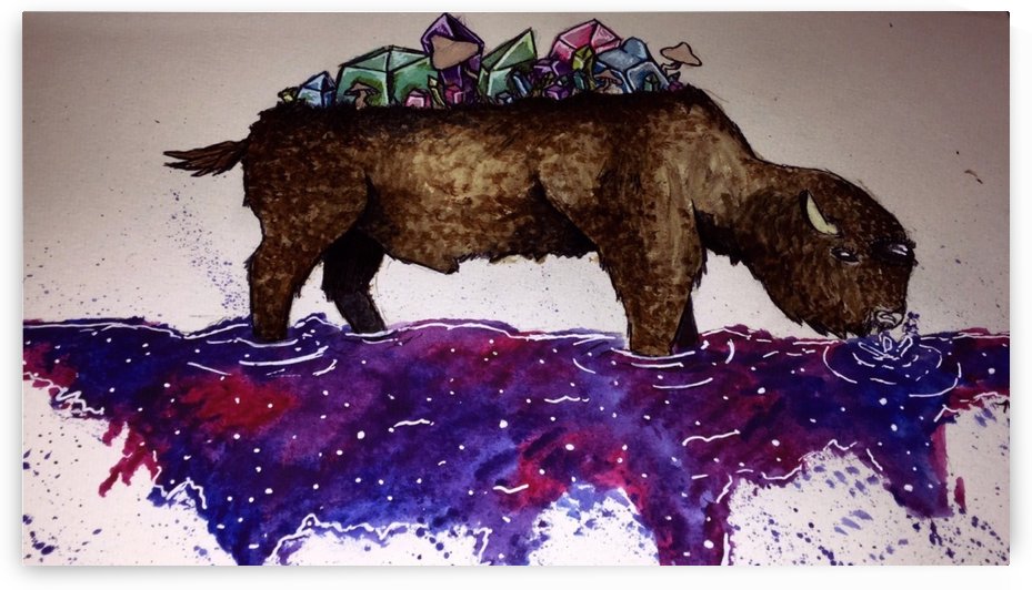 Space Buffalo by Makayla Ellis