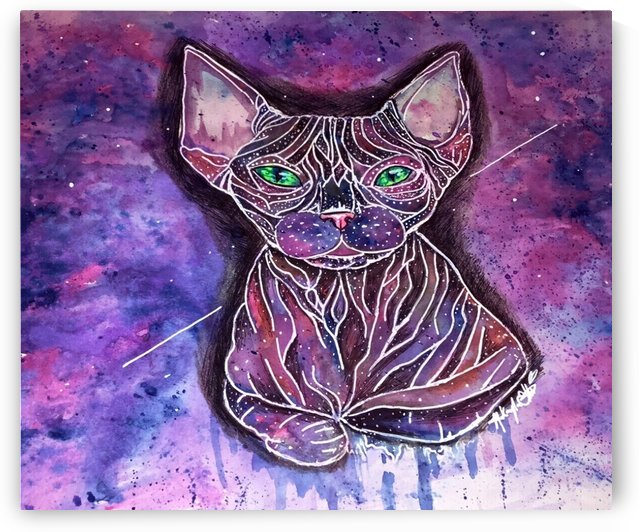 Purrfect Stars by Makayla Ellis