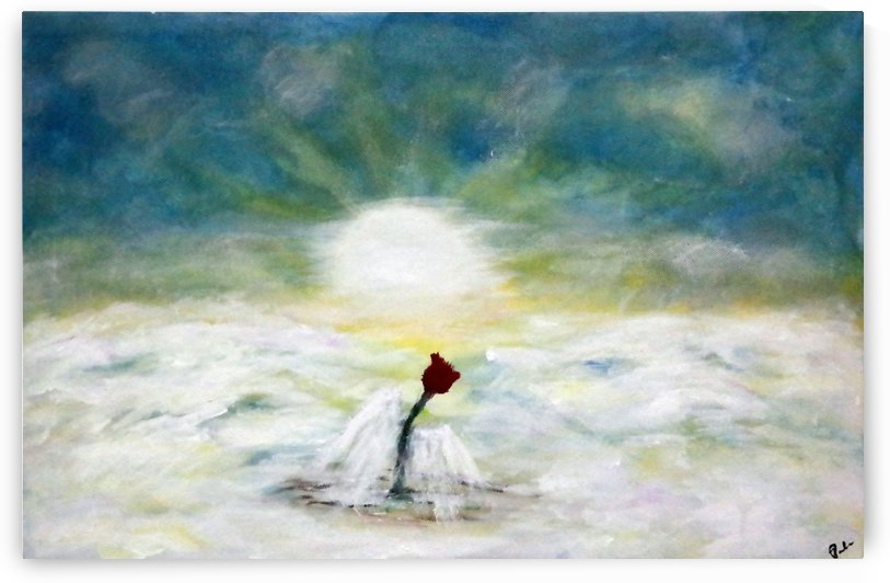 The Rose by Paula Jane Marie