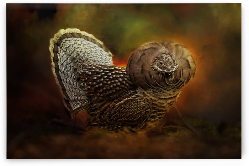 Ruffed Up by Michel Soucy