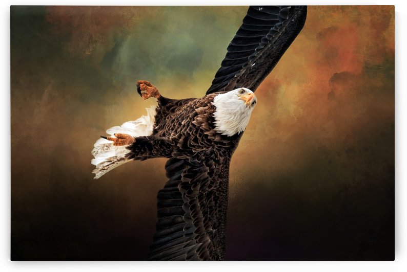 On a Dime by Michel Soucy