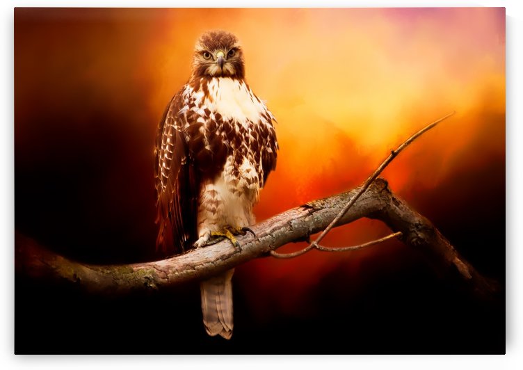 Red Threat by Michel Soucy