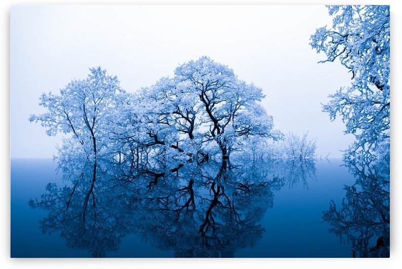 nature by Stock Photography