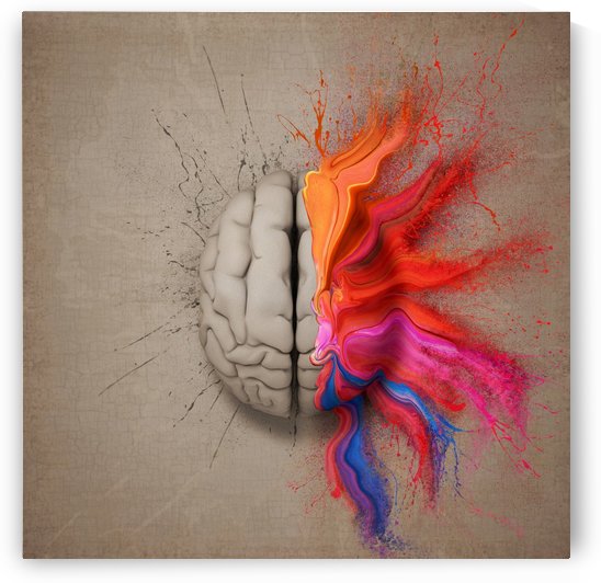 The Creative Brain by Johan Swanepoel