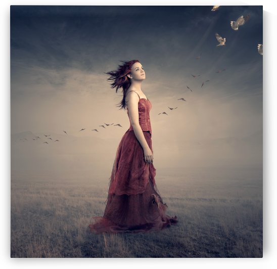 New Beginnings by Johan Swanepoel