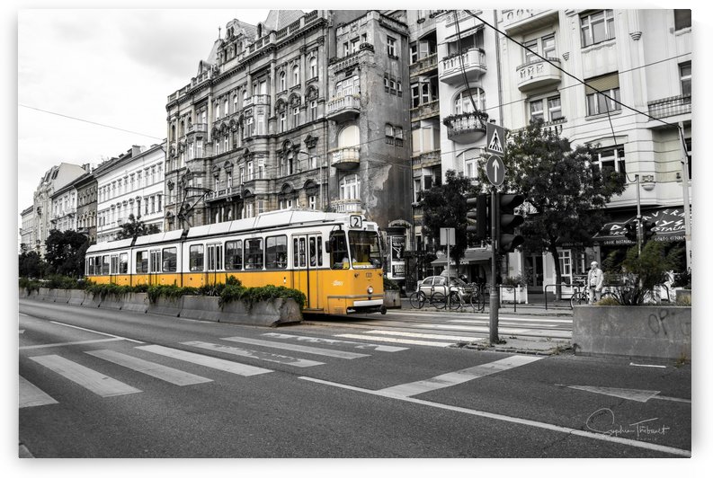 Tramway jaune by Sophie Thibault