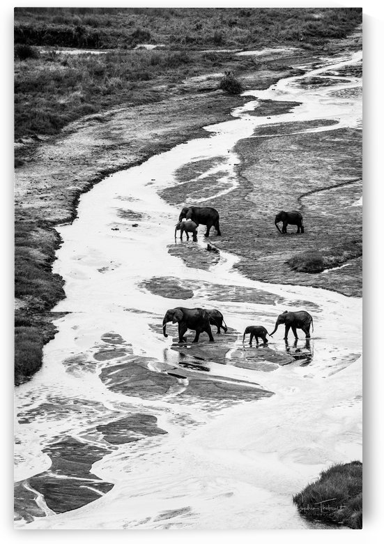 Arrêt au puits by Sophie Thibault