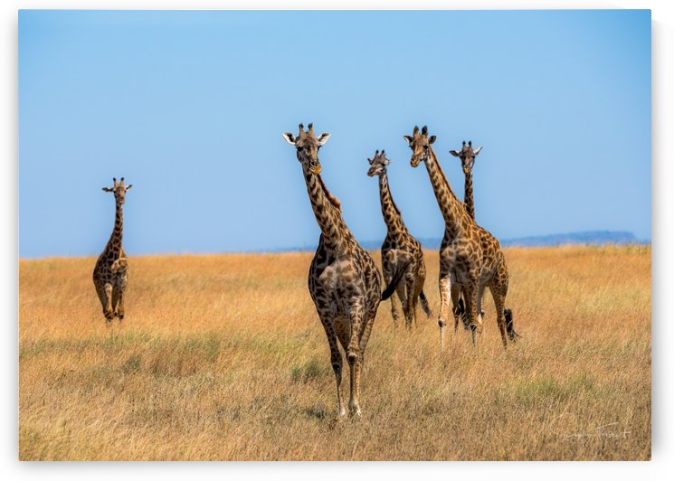 Sortie de famille by Sophie Thibault