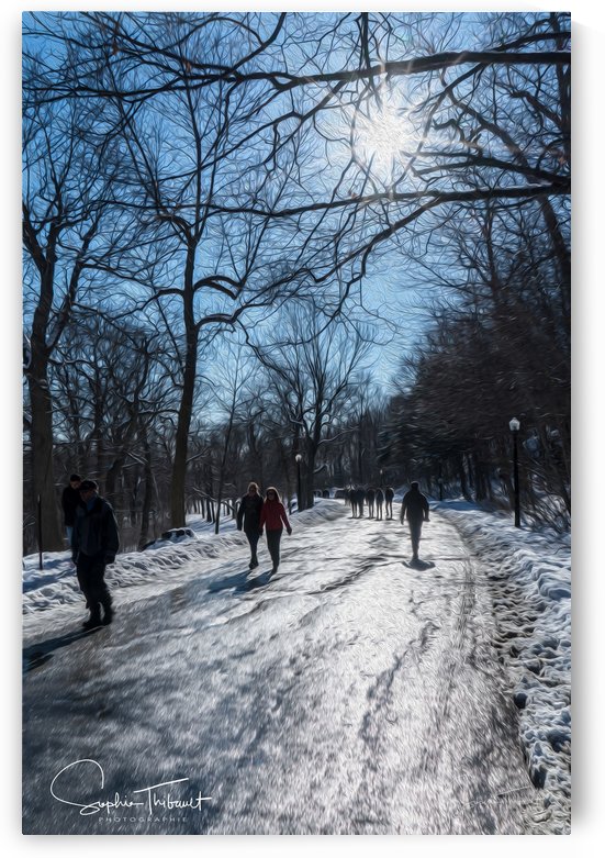 Le sentier du belvédère by Sophie Thibault