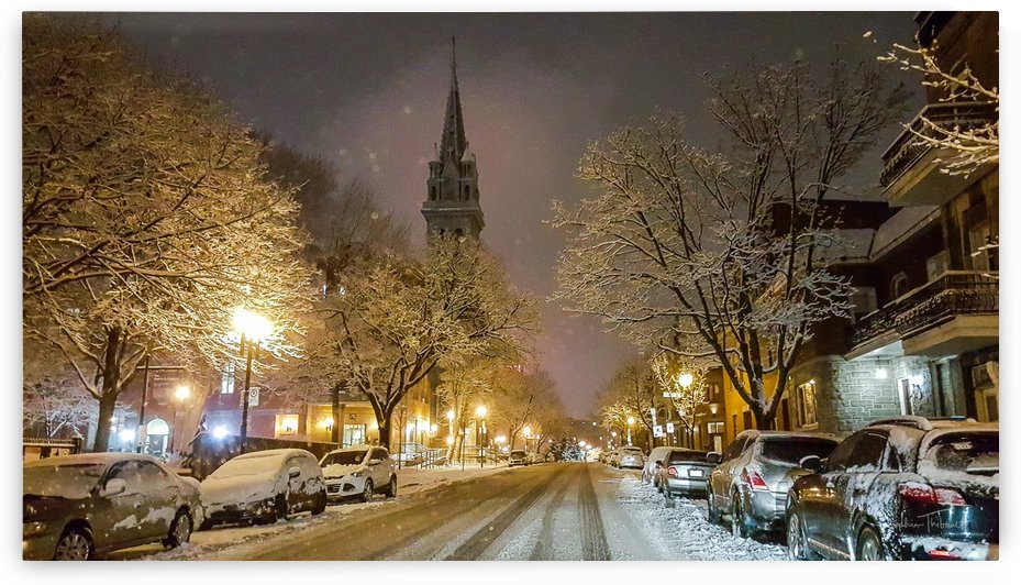 Montréal jaune by Sophie Thibault
