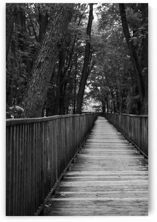 A long way by Adrien Cote